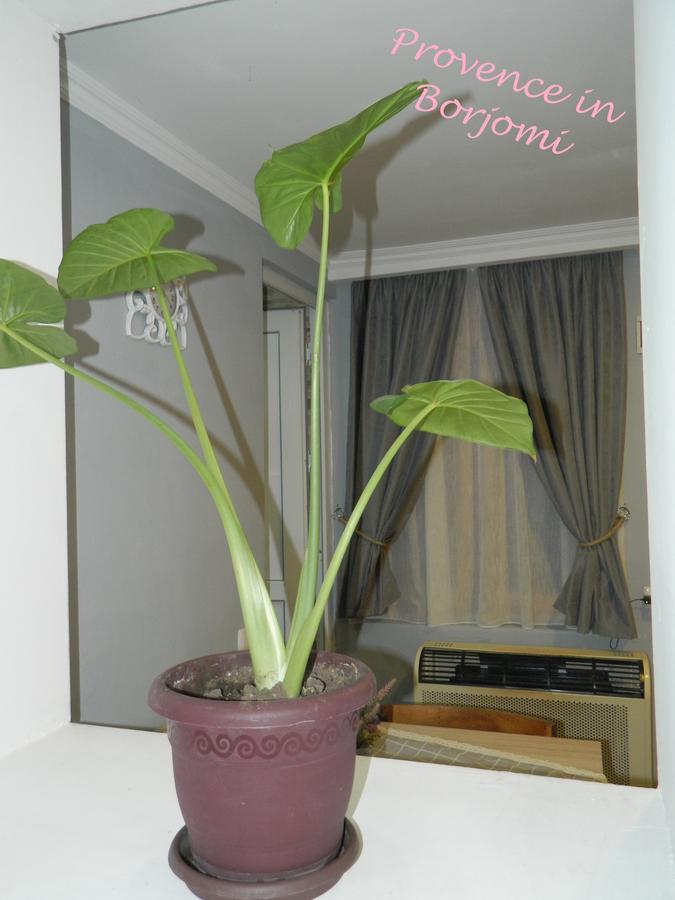 Nikas Guest House Borzsomi Kültér fotó